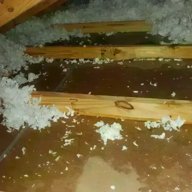 Attic Water Damage in Anderson Mill, TX